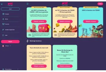 Wild Fortune Casino - page promotionnelle