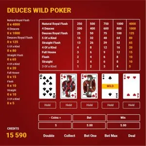Understanding Video Poker main features