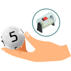 3. Wait for the draw