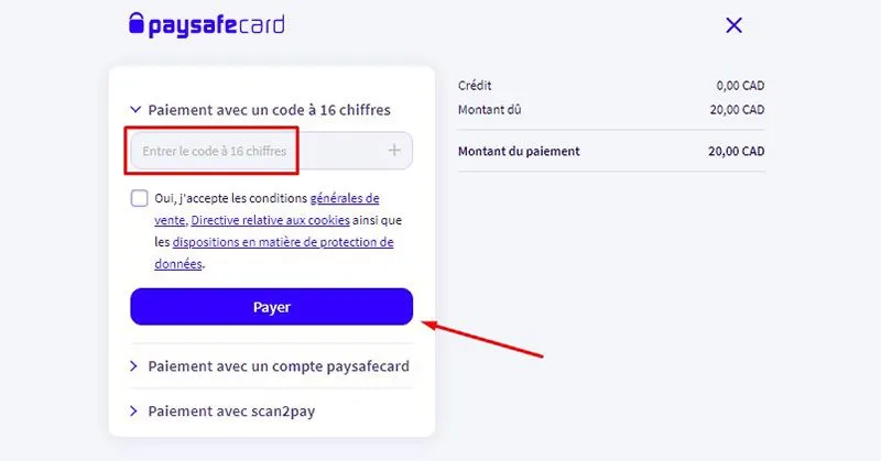 Dépôt avec PaysafeCard Étape 5