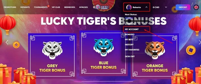 Account settings at the casino