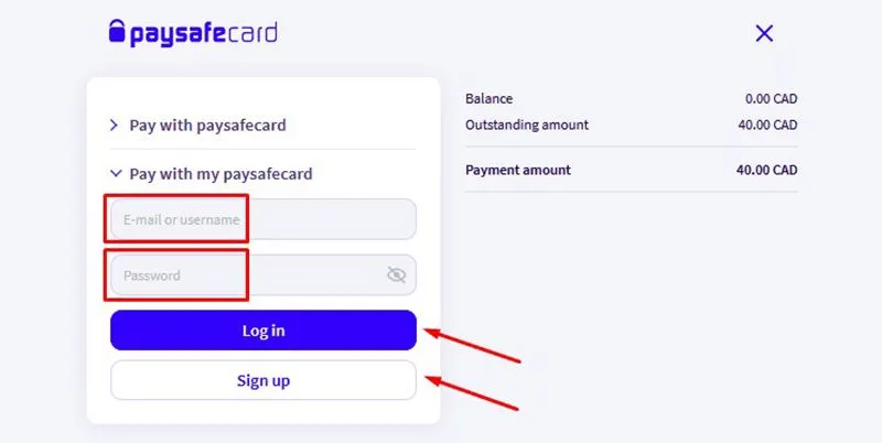 Completing the payment