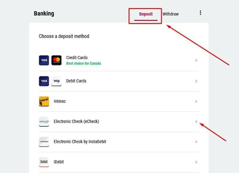 eCheck payment method