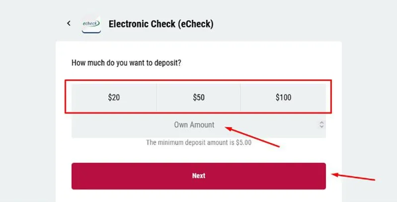 Electronic check in casino