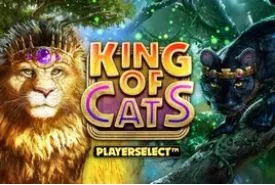 King of Cats review