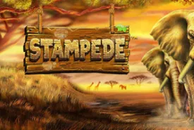 Stampede review