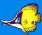 Yellow fish