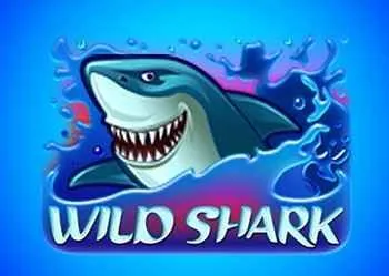 Wild Shark