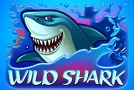 Wild Shark review