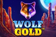 Wolf Gold Slot Online FREE Play RTP & Bonuses