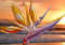 Sea flower