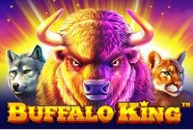 Buffalo King review