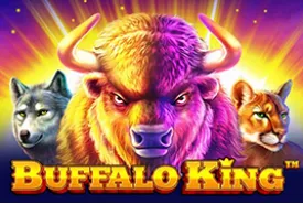 Buffalo King review