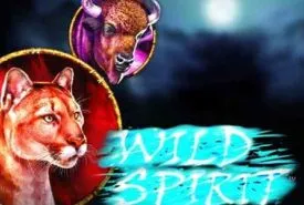 Wild Spirit review