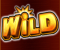 Wild
