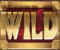 Wild