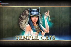 Temple Cats review