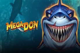Mega Don review