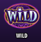 Wild Symbol