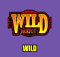 Wild Symbol