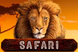 African Safari review