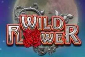Wild Flower review