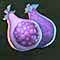 Purple Fruit