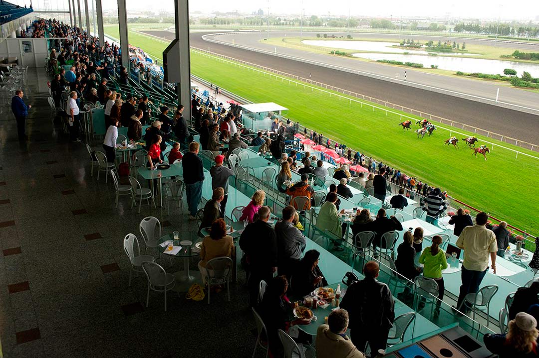 Woodbine, Toronto — a racetrack floor that runs slots and tables